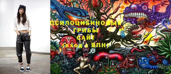 твердый Балахна