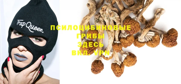 прущие крисы Балабаново