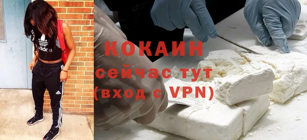 твердый Балахна